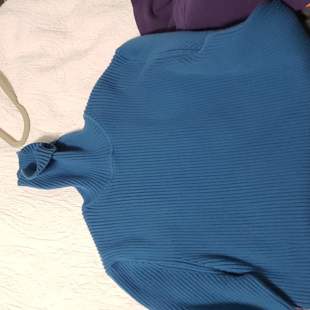 Women's Gap ribbed stretch turtleneck sweater. XL. Blue. Long sleeves.